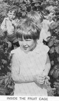 Children picking fruit inside the fruit cage